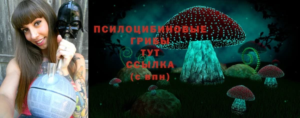 прущие крисы Зерноград